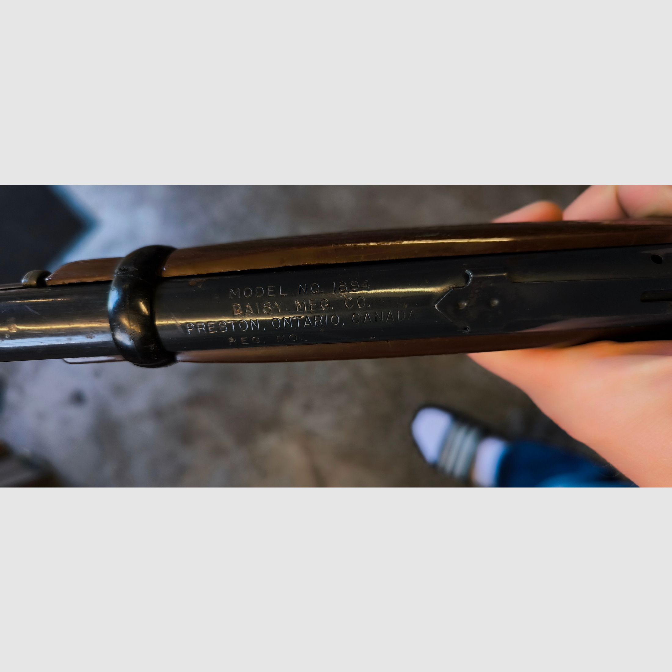 Daisy Model 1894