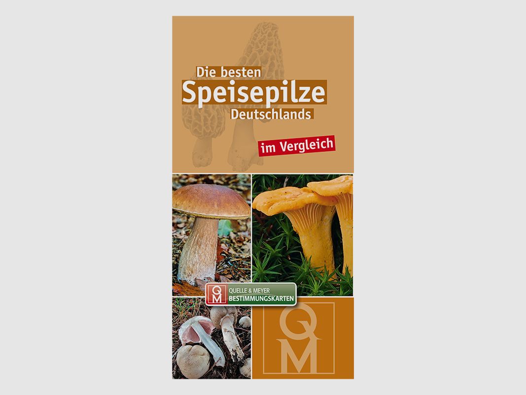 Tarjeta de identificación "Los mejores hongos comestibles de Alemania"
