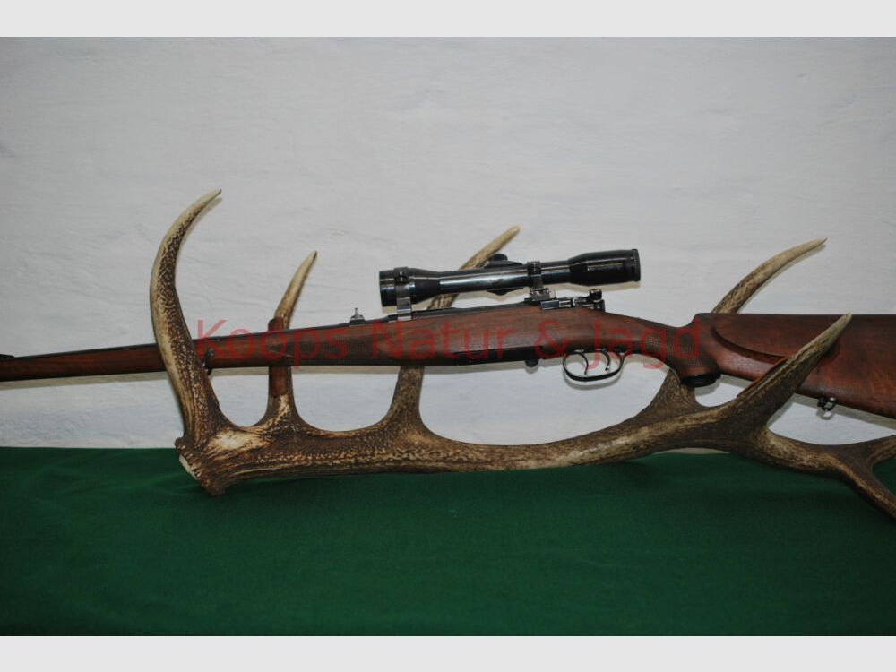 Steyr Mannlicher Schoenauer GK