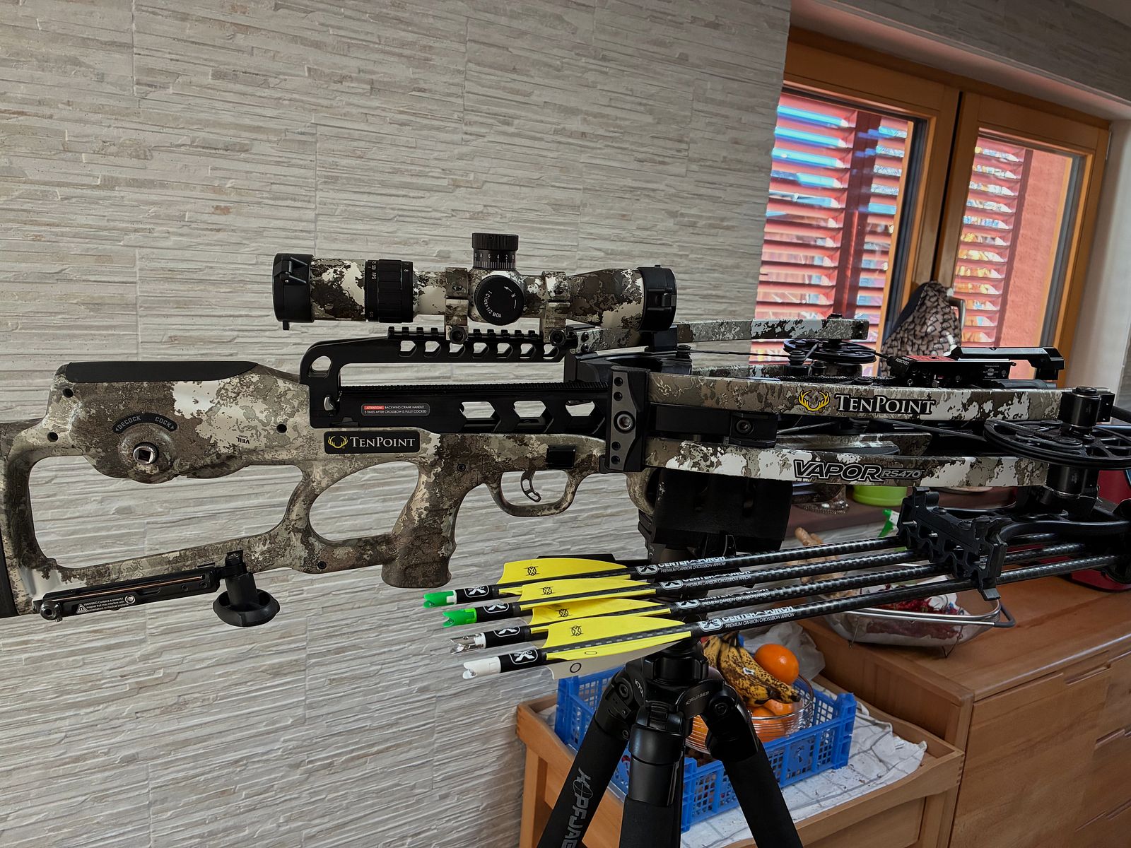TEN POINT Armbrust Vaper RS 470 EVO - X VCeil Alpine