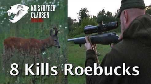 Kristoffer Clausen hunting roebucks 8 kills. Bukkejakt 8 fellinger