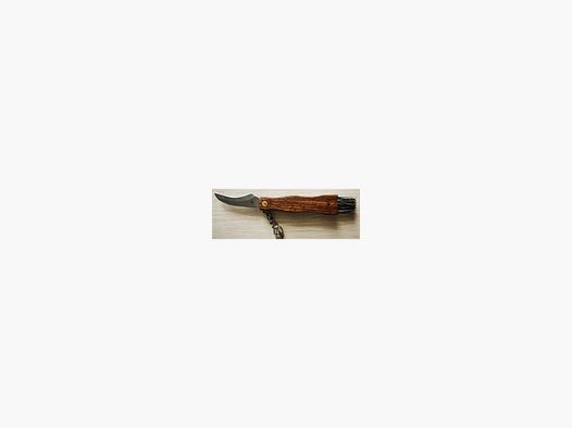 Knife Alces Jakt for Mushroom Picking