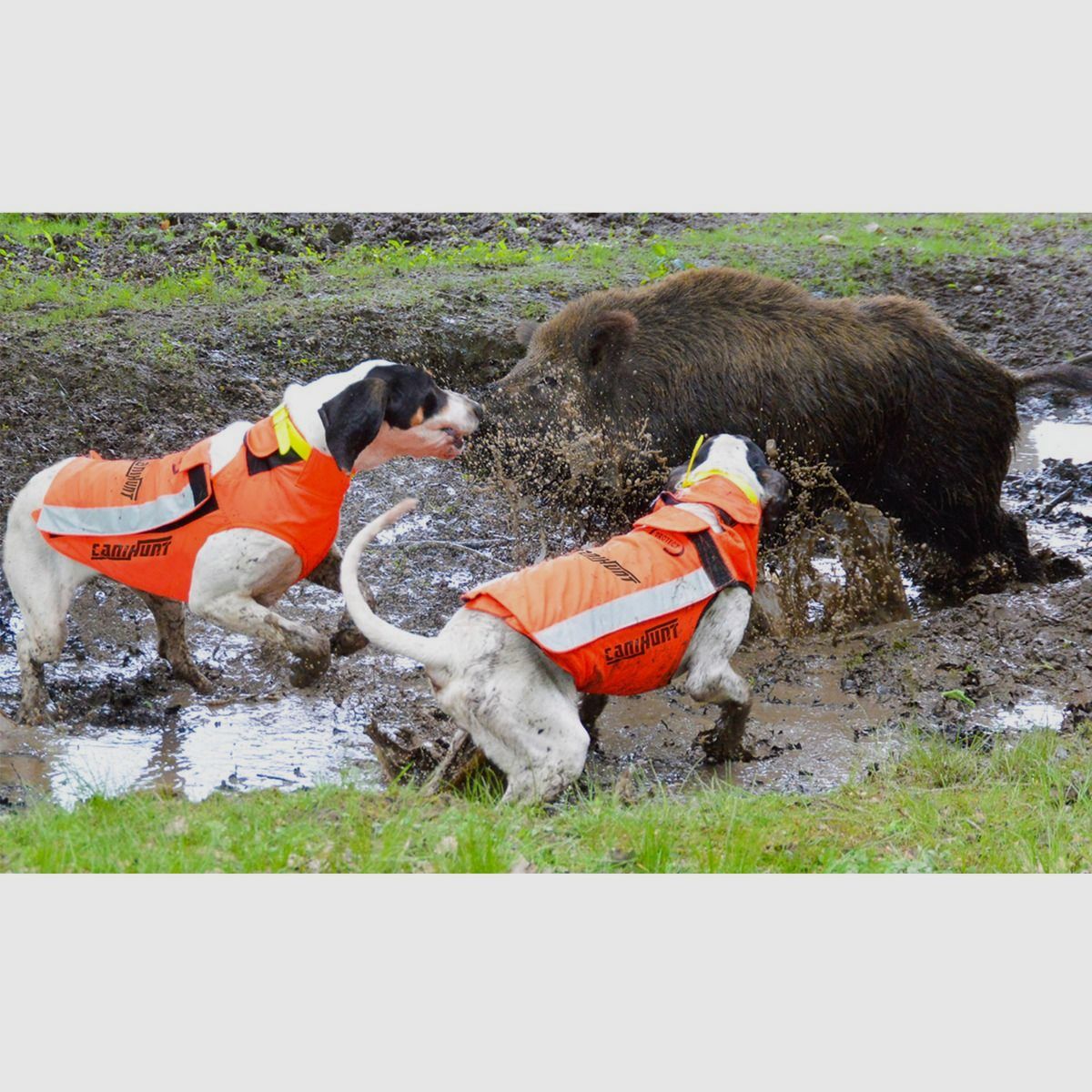 Schutzweste für Jagdhunde Canihunt Protect Light, Bild 12 von 20