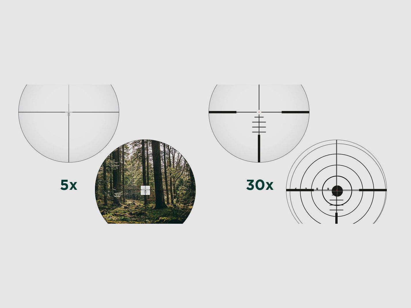 ALPEN Optics APEX XP 5–30x56 BDC