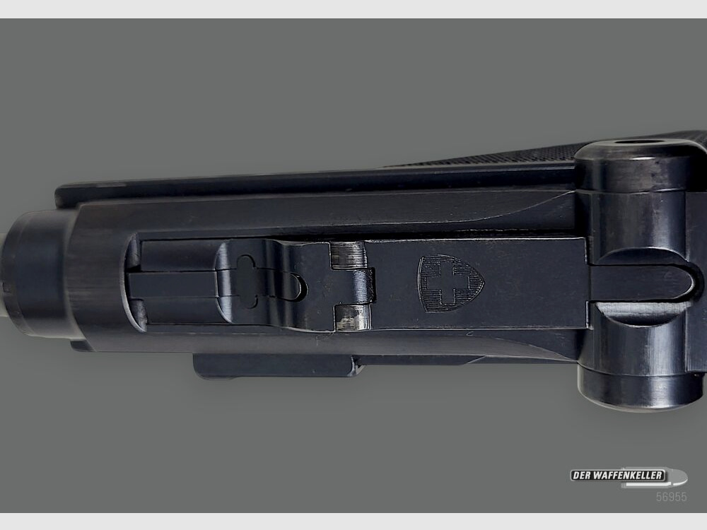 Fábrica de armas de Berna (W+F) 06/29 1929