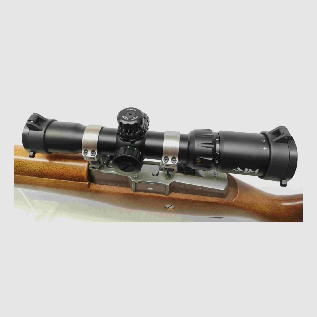 Ruger Ranch Rifle Mini 14