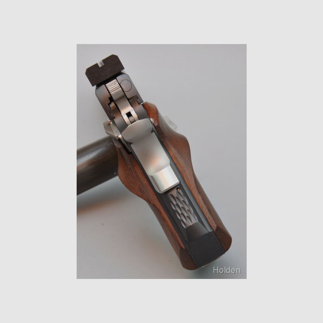 Holden Custom Guns 1911 10mmAuto