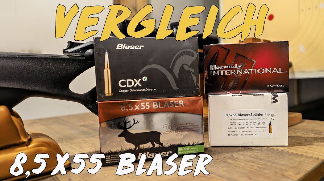Vergleich - 8,5x55 Blaser - CDX - TTSX - GM - ECX