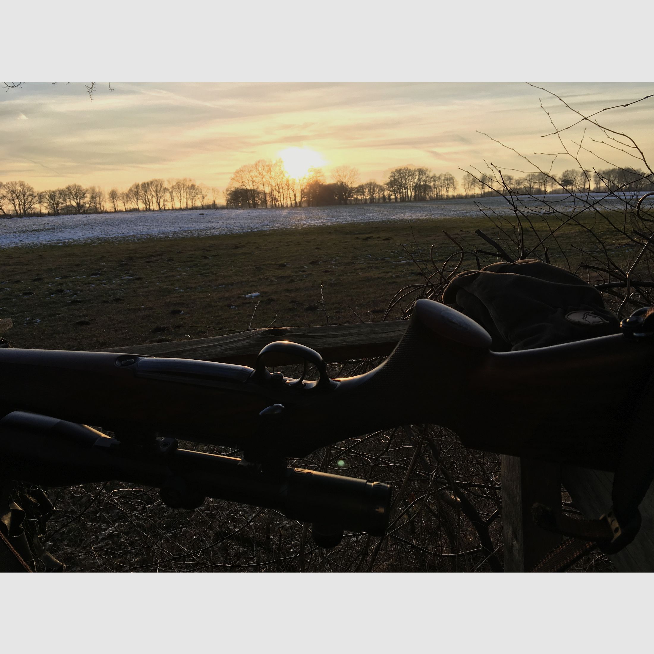 Sauer & Sohn 202 Stutzen 9,3x62 Sonderholz Schrankwaffe