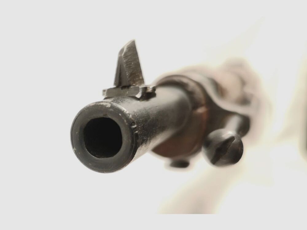 Steyr Mannlicher M95