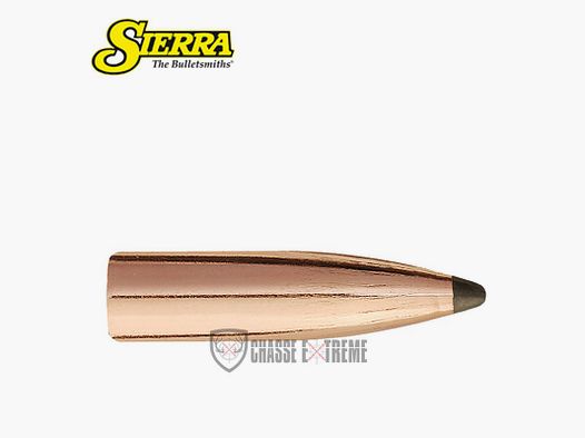 100 Kogels SIERRA Kal 6.5 Mm - 06 120gr SPT