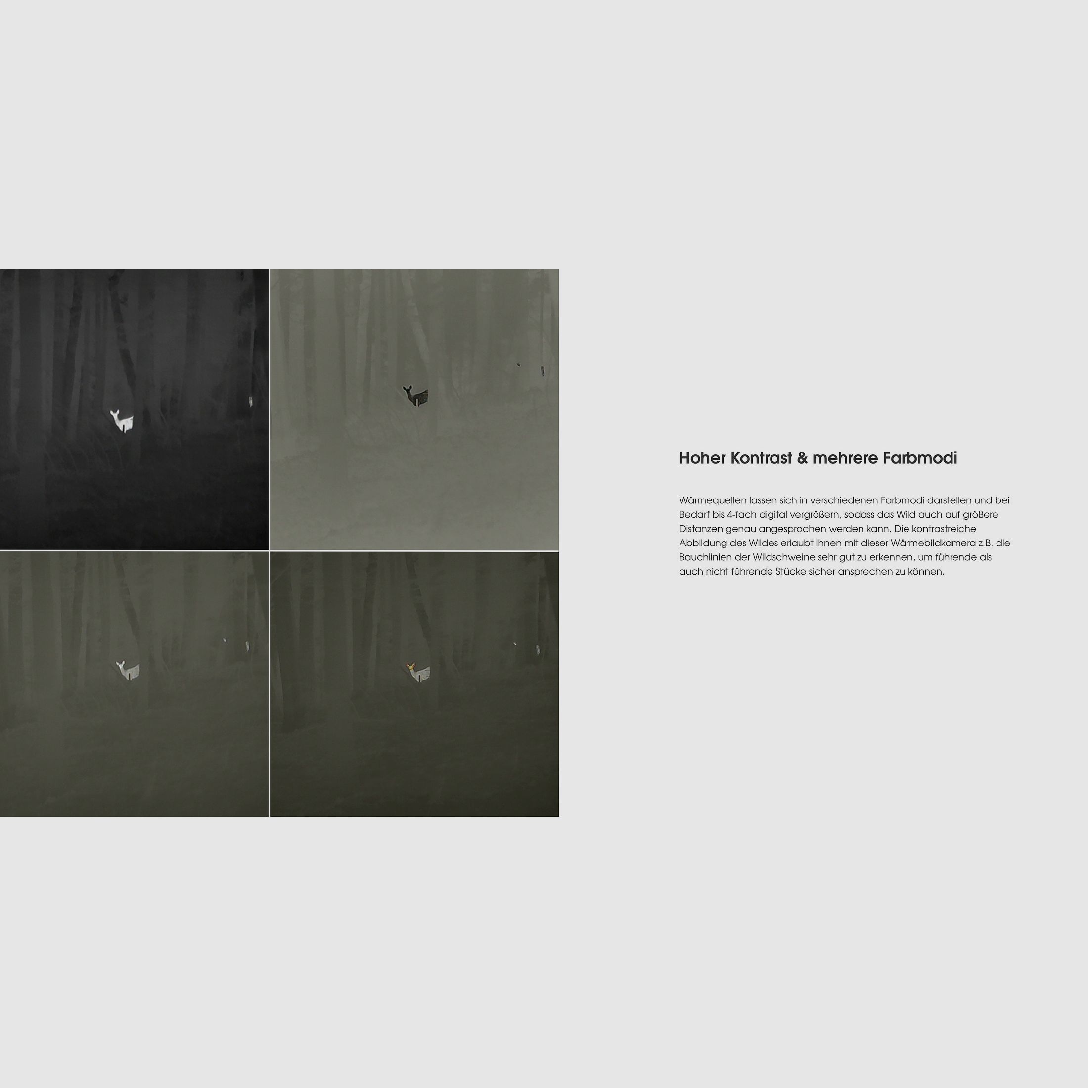 Liemke Keiler 50 PRO thermal imaging camera 2022 with strap and 12µm detector