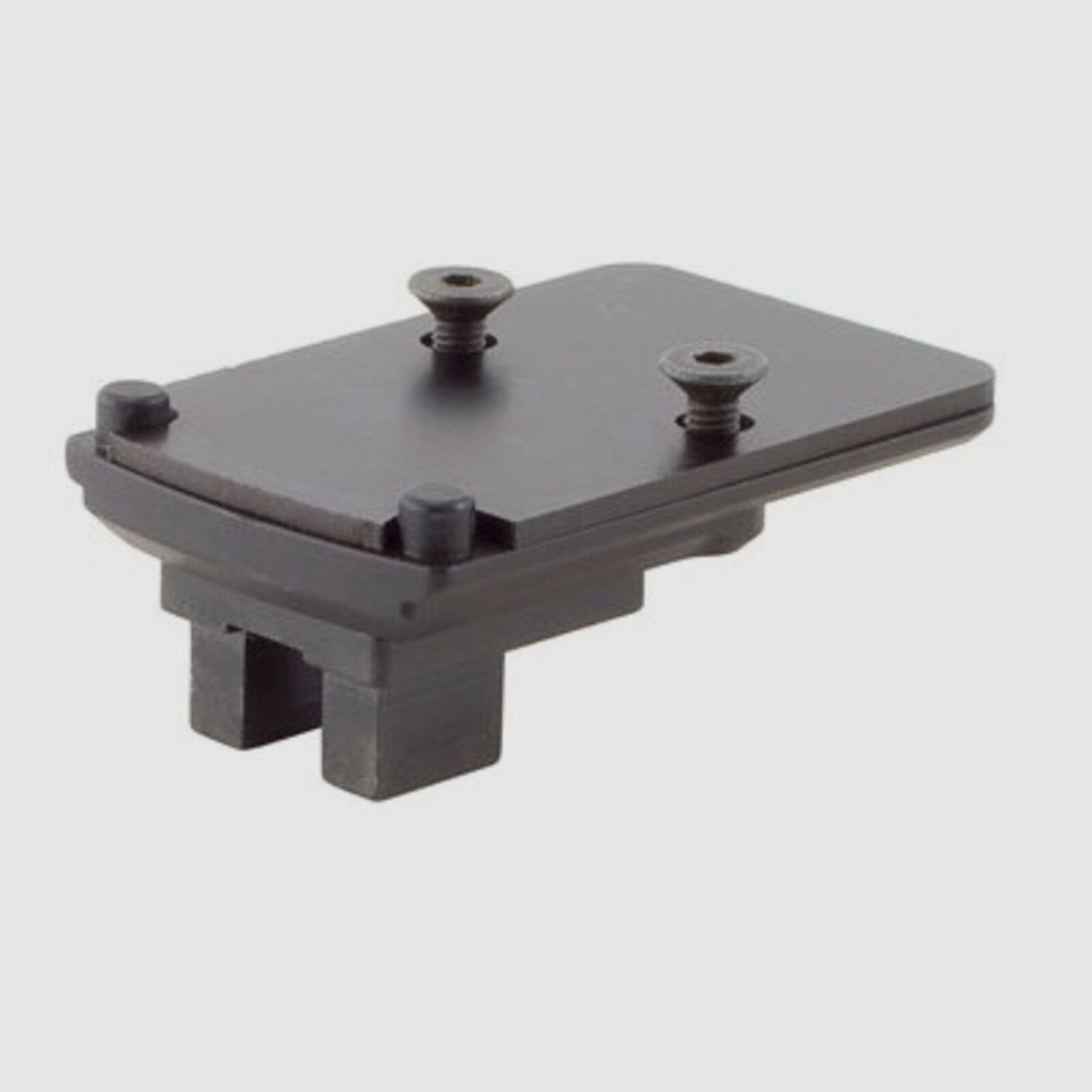 Trijicon RMR/SRO Montage Custom Rifle