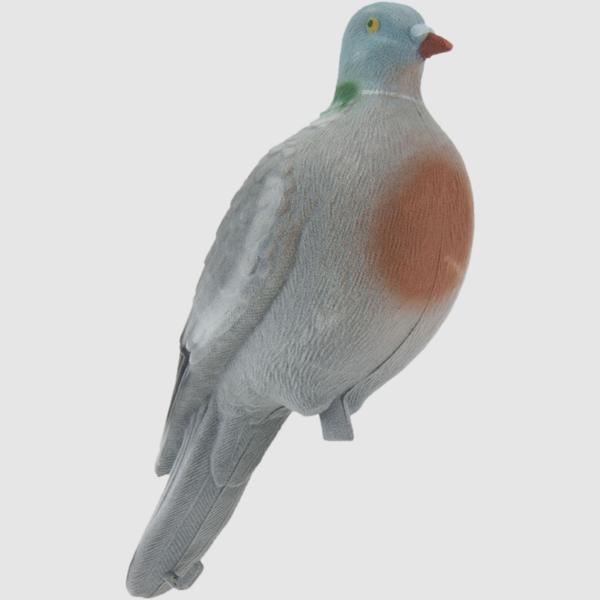 Vollschalen Locktaube