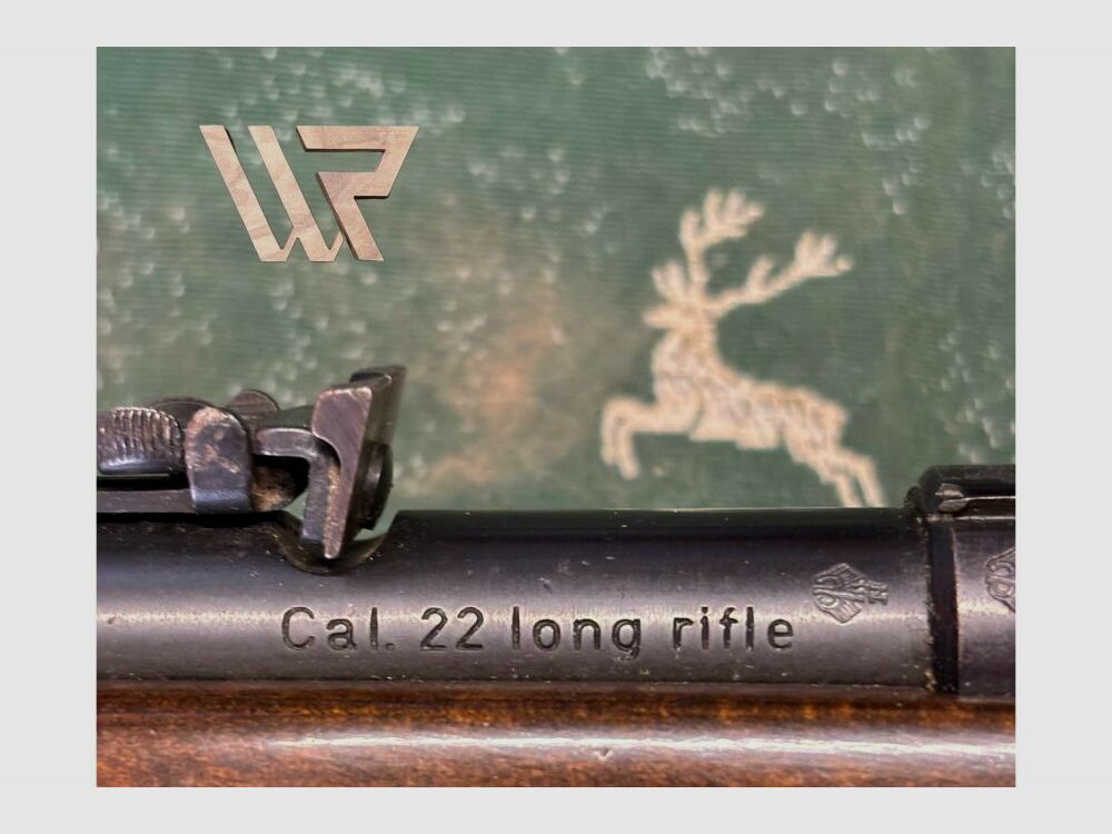 Anschütz .22lr