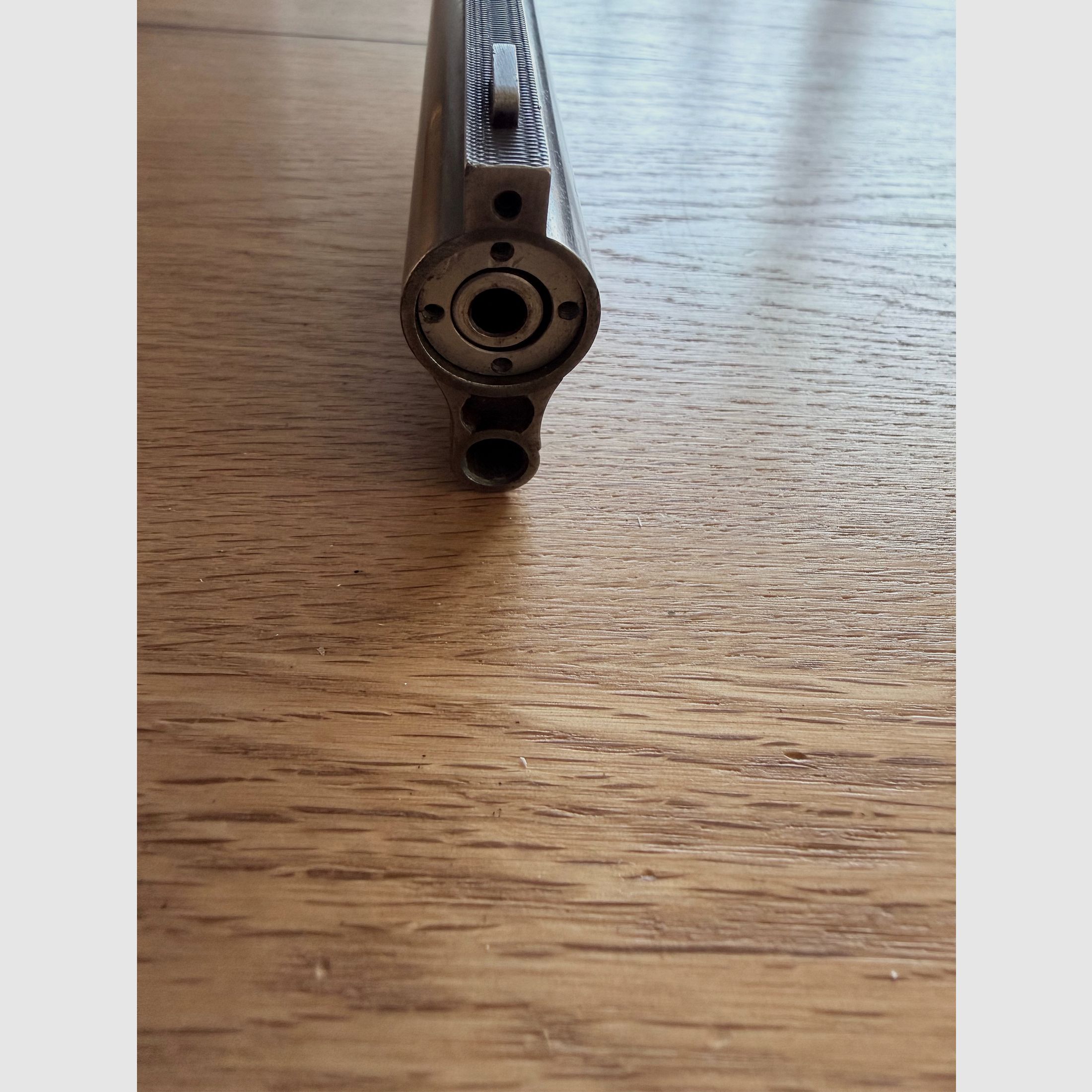 Blaser ES67 nei calibri 7x65R e 12/70 ESL 22 Hornet Meopta Meostar R1. 3-10X50