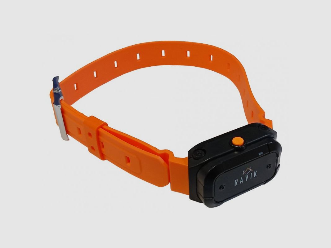 Pack Halsband für die Ausbildung Ravik RV900 für 2 Hunde, Bild 3 von 3