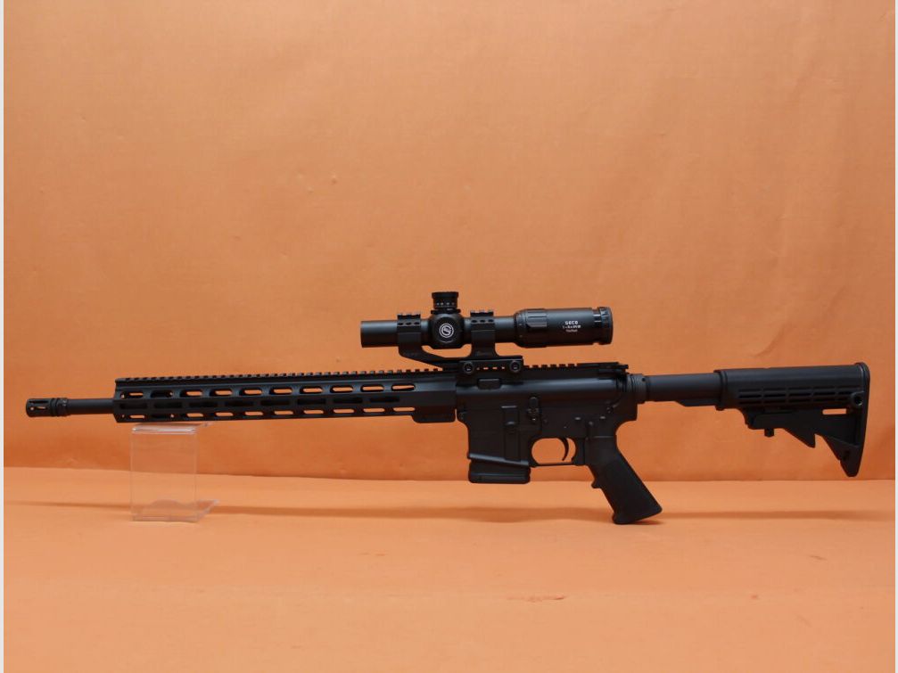 AimZone Ha.Büchse .223Rem AimZone Aim15 Basic Sporter 18L System AR-15 +Geco 1-6x24 Zielfernrohr+Burris PEPR