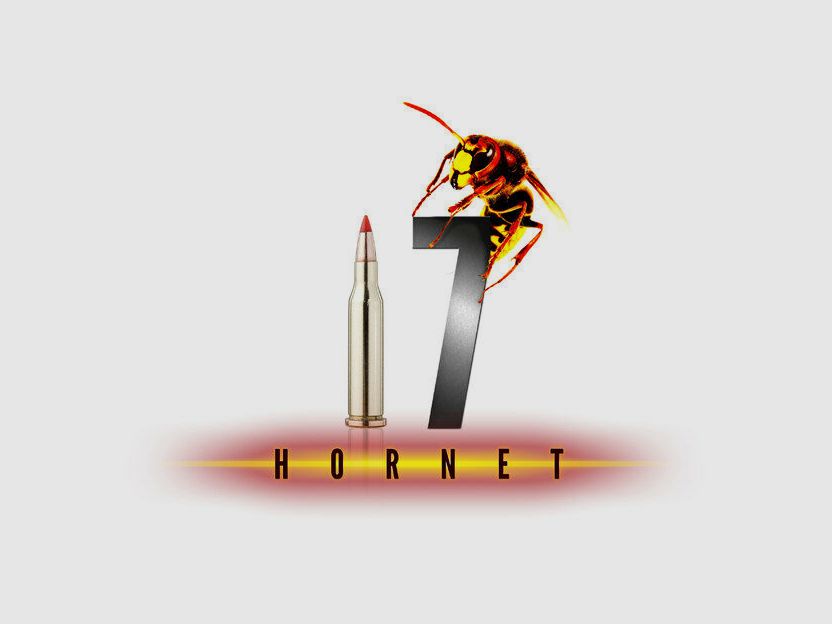 Hornady SF V-Max 20gr - 25pz