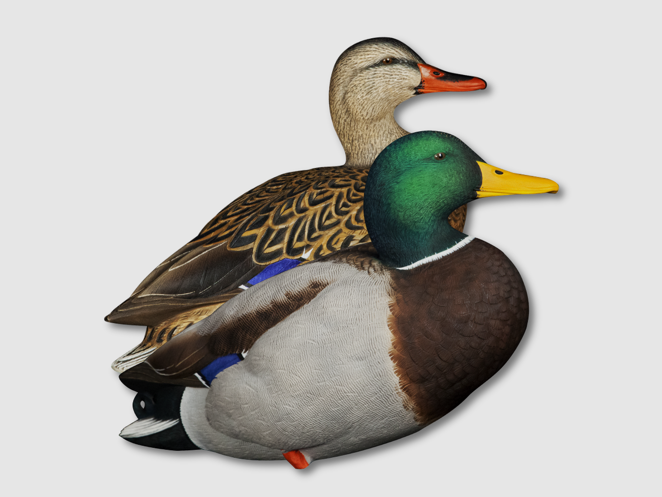 Avian-X AXP Full Body Mallard Fusion Pack Lockenten, Bild 1 von 8