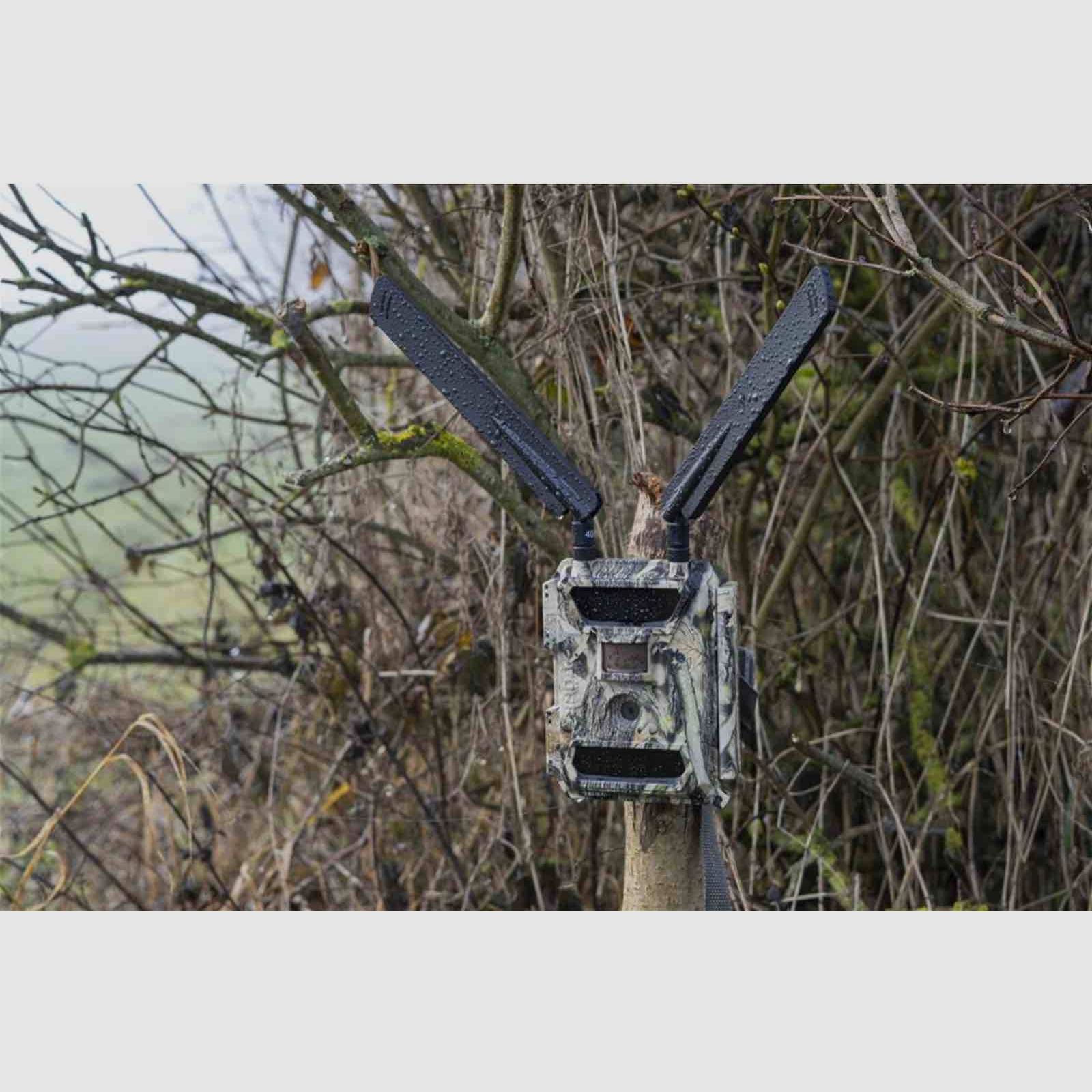 Dörr 204440 Caméra de surveillance et de chasse SnapShot Cloud 4G