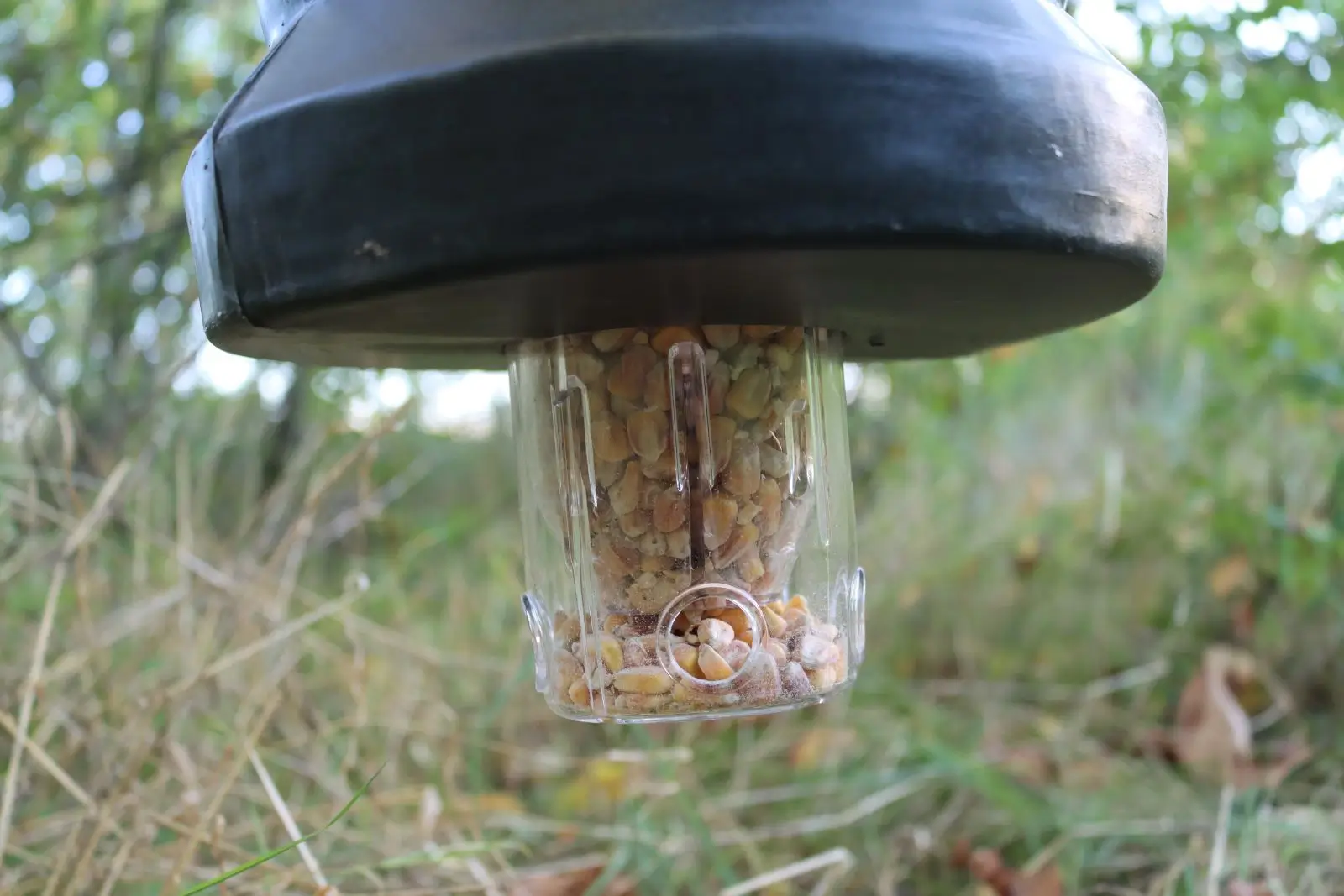 Dispensador de alimento universal Eurohunt, imagen 2 de 3