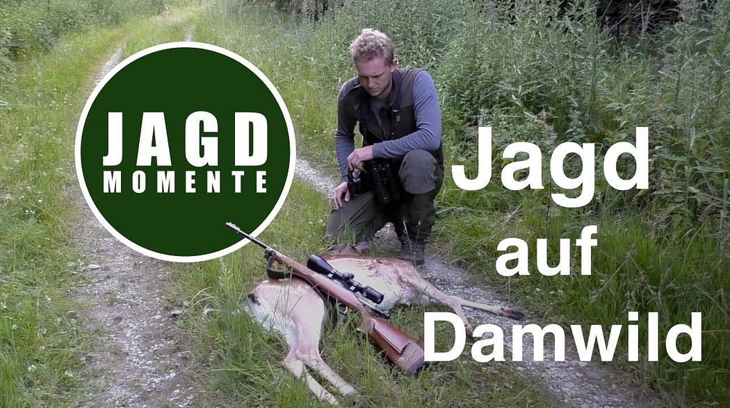 JagdMomente | Folge 3 | Jagd auf Damwild und Reh im Frühsommer