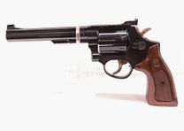 Taurus 96
