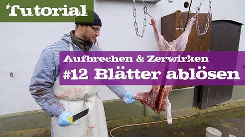 #12 Blätter ablösen - Schwarzwild - Lehrgang Aufbrechen & Zerwirken