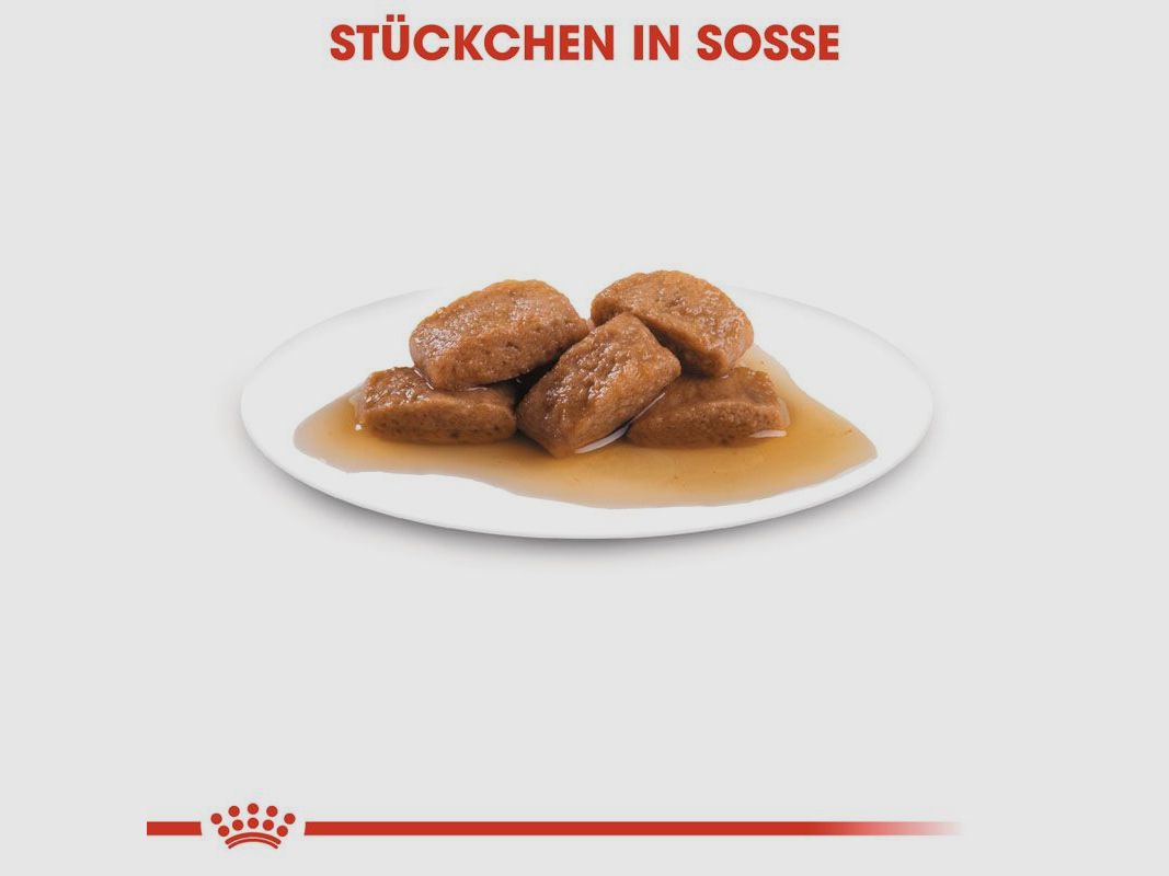 ROYAL CANIN Große Hunde Nassfutter Maxi Adult 10x140 g