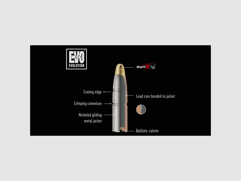 RWS EVO .300 Win. Mag. 11.9g, image 4 sur 4