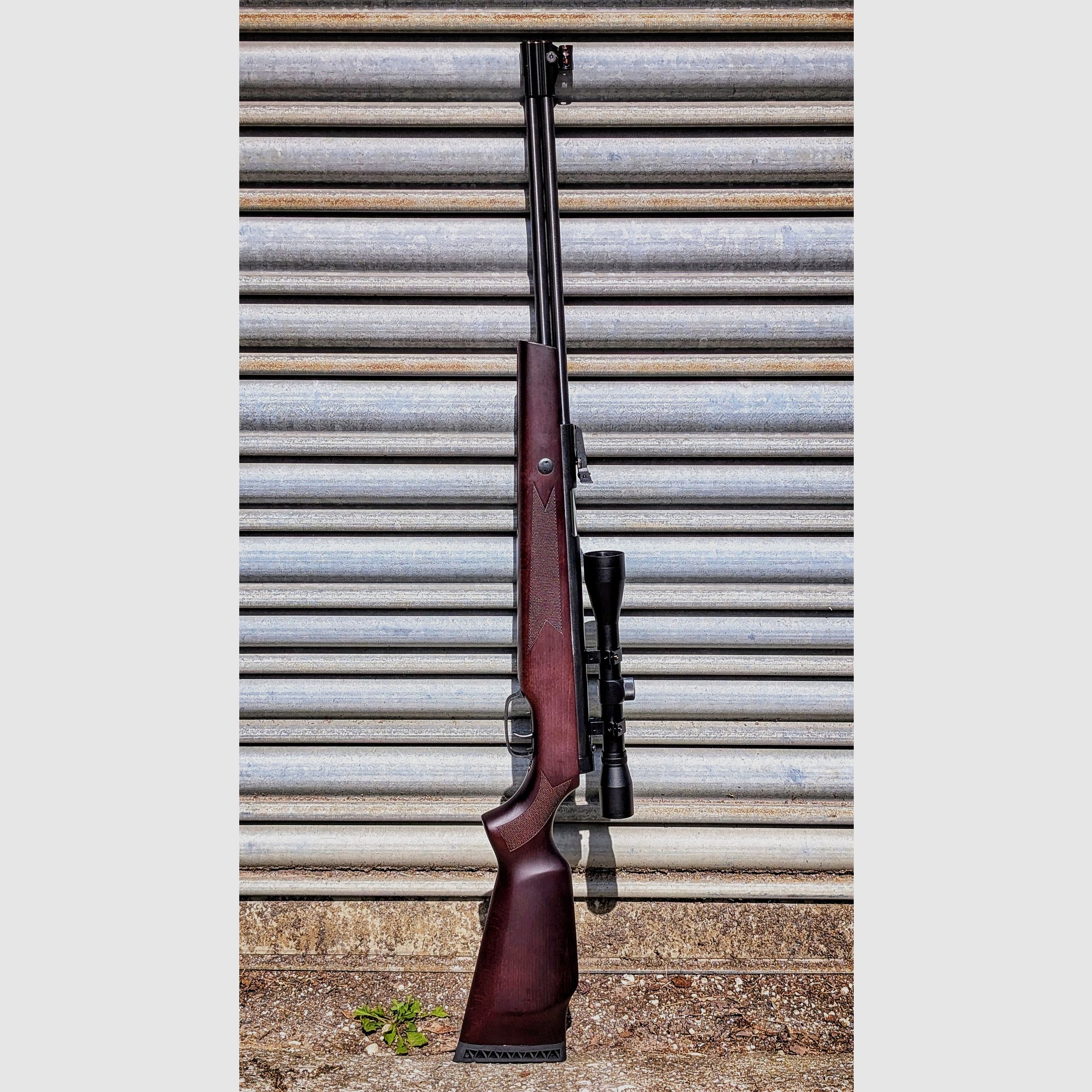 Hämmerli Hunter Force 900 Combo, fecha de compra 15.08.2025