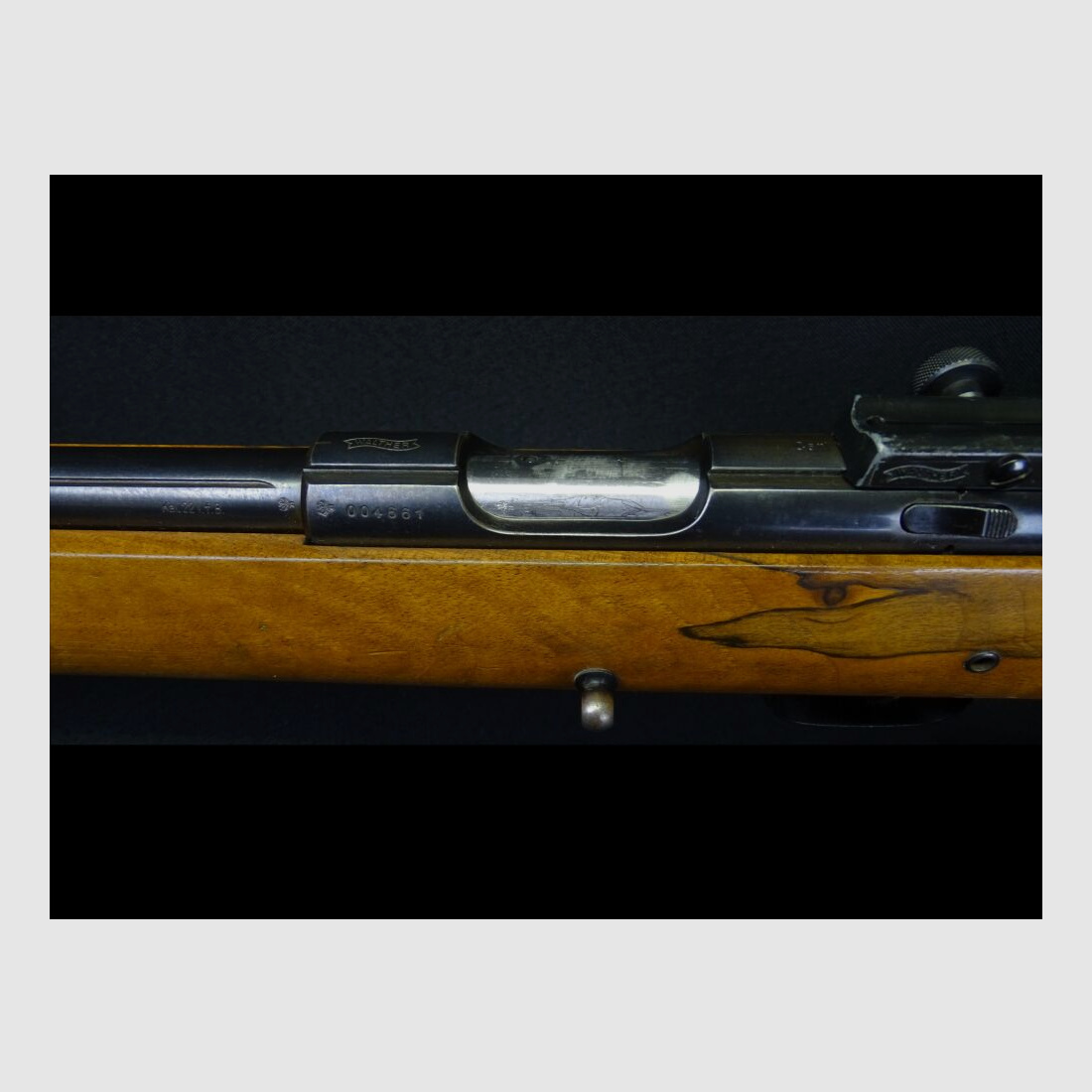 Walther ohne