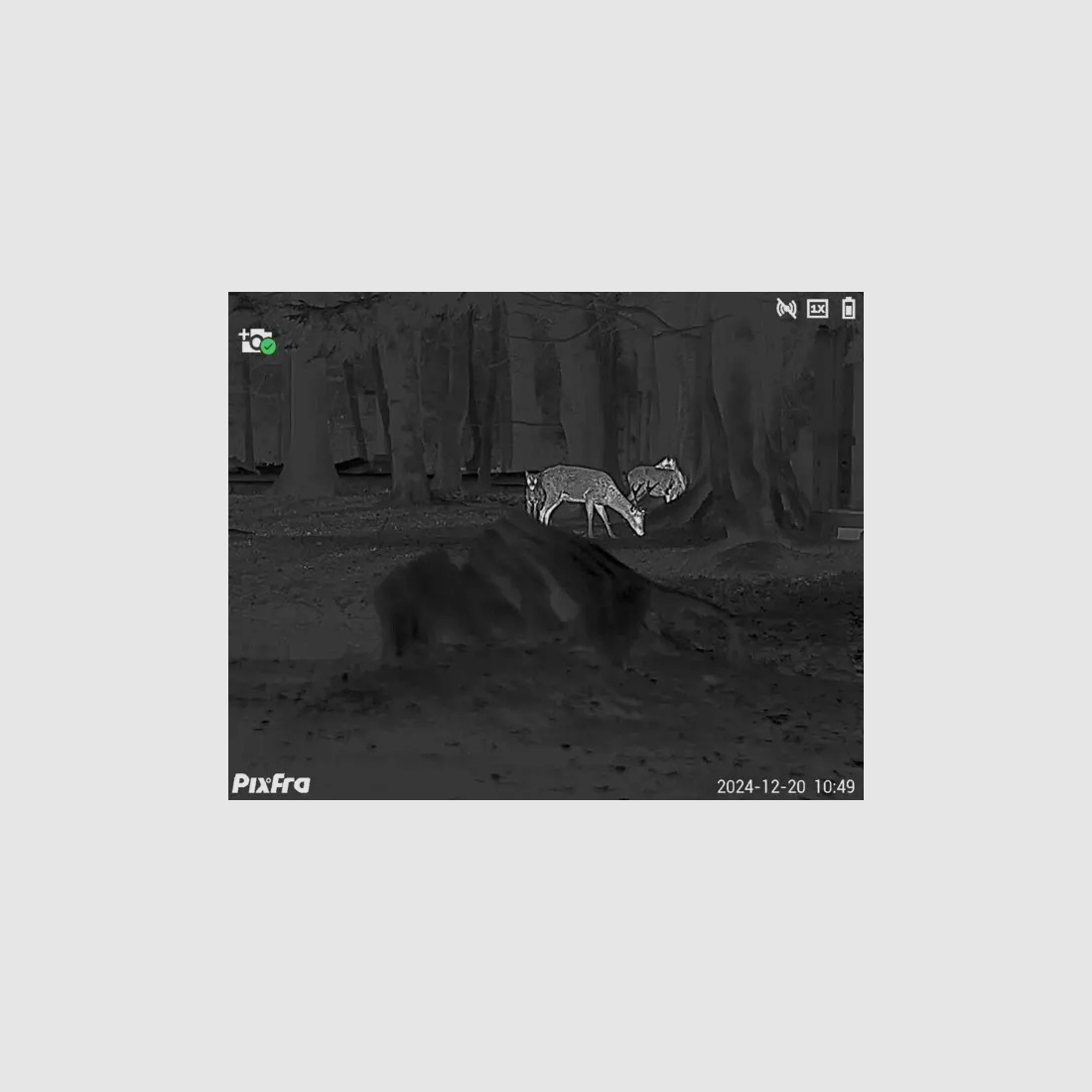 Pixfra Wärmebildmonokular Sirius S650D