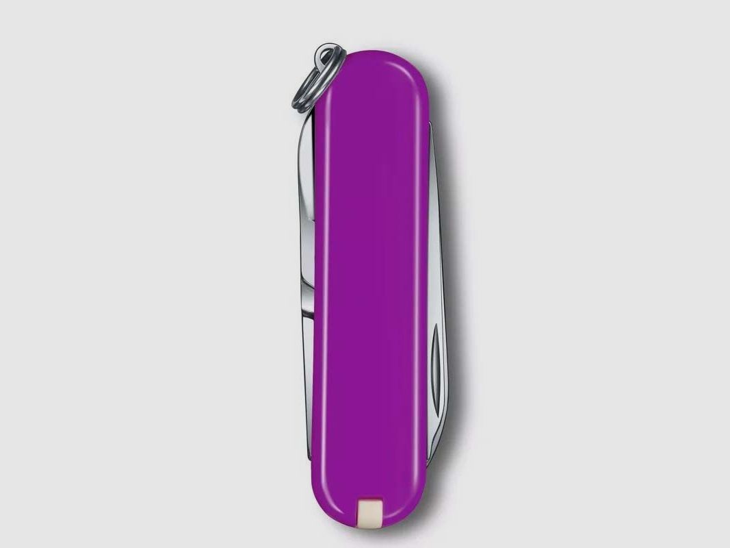 Navaja de bolsillo VICTORINOX CLASSIC SD TASTY GRAPE, imagen 4 de 6
