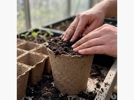 10 pots biodégradables pour semis Progarden