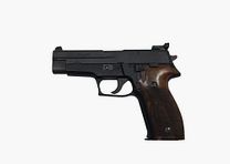 Sig Sauer P226