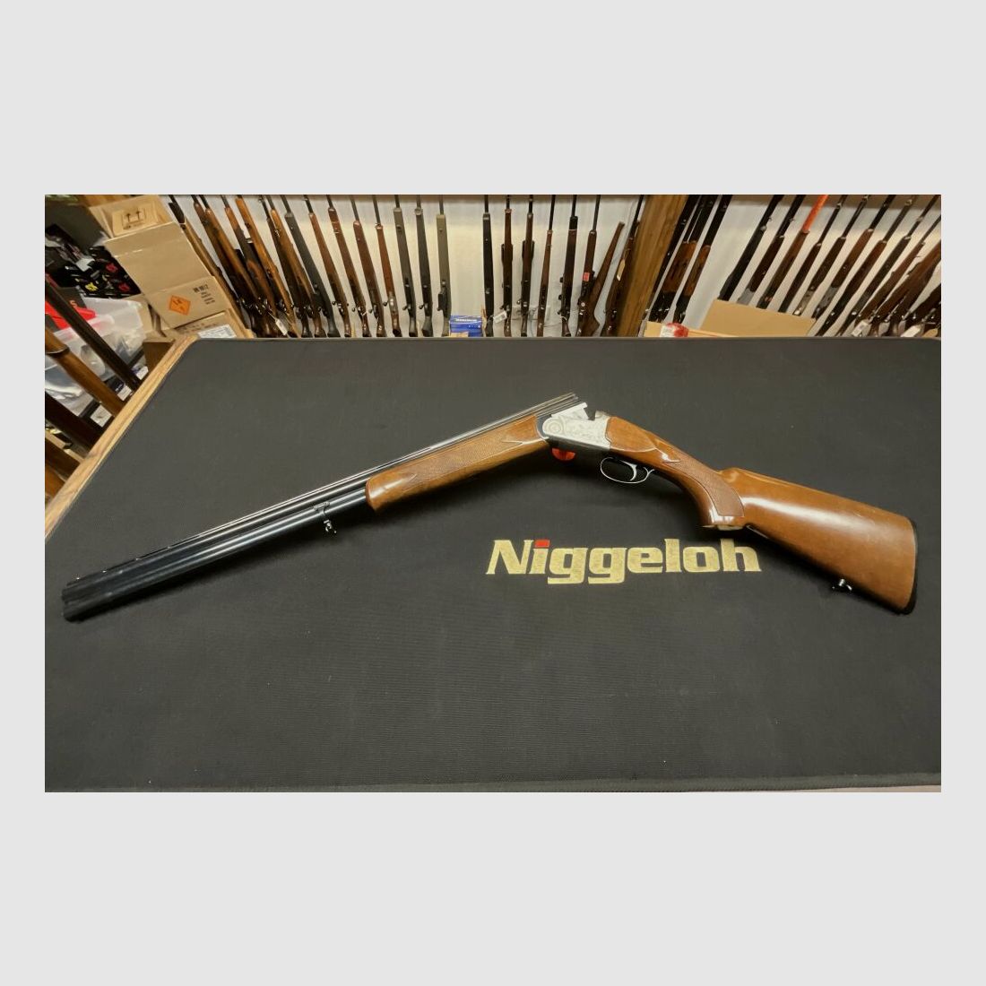 Kettner Campione 12/70