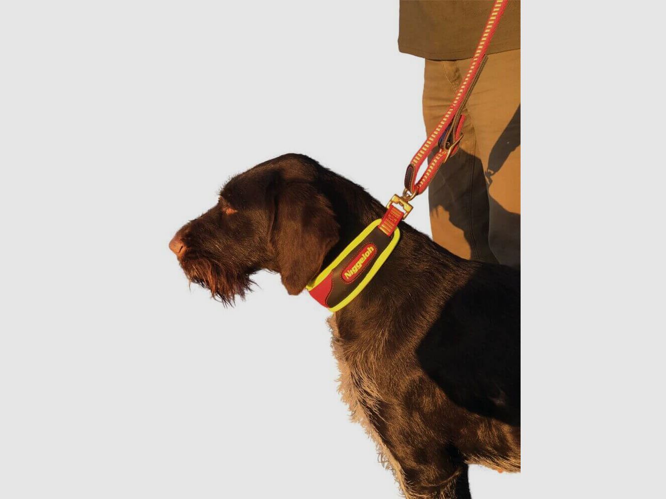 Niggeloh Szyja Trail