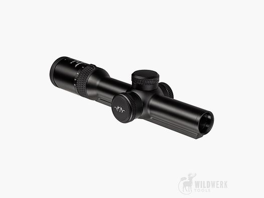 Blaser B2 1-6x24 iC S