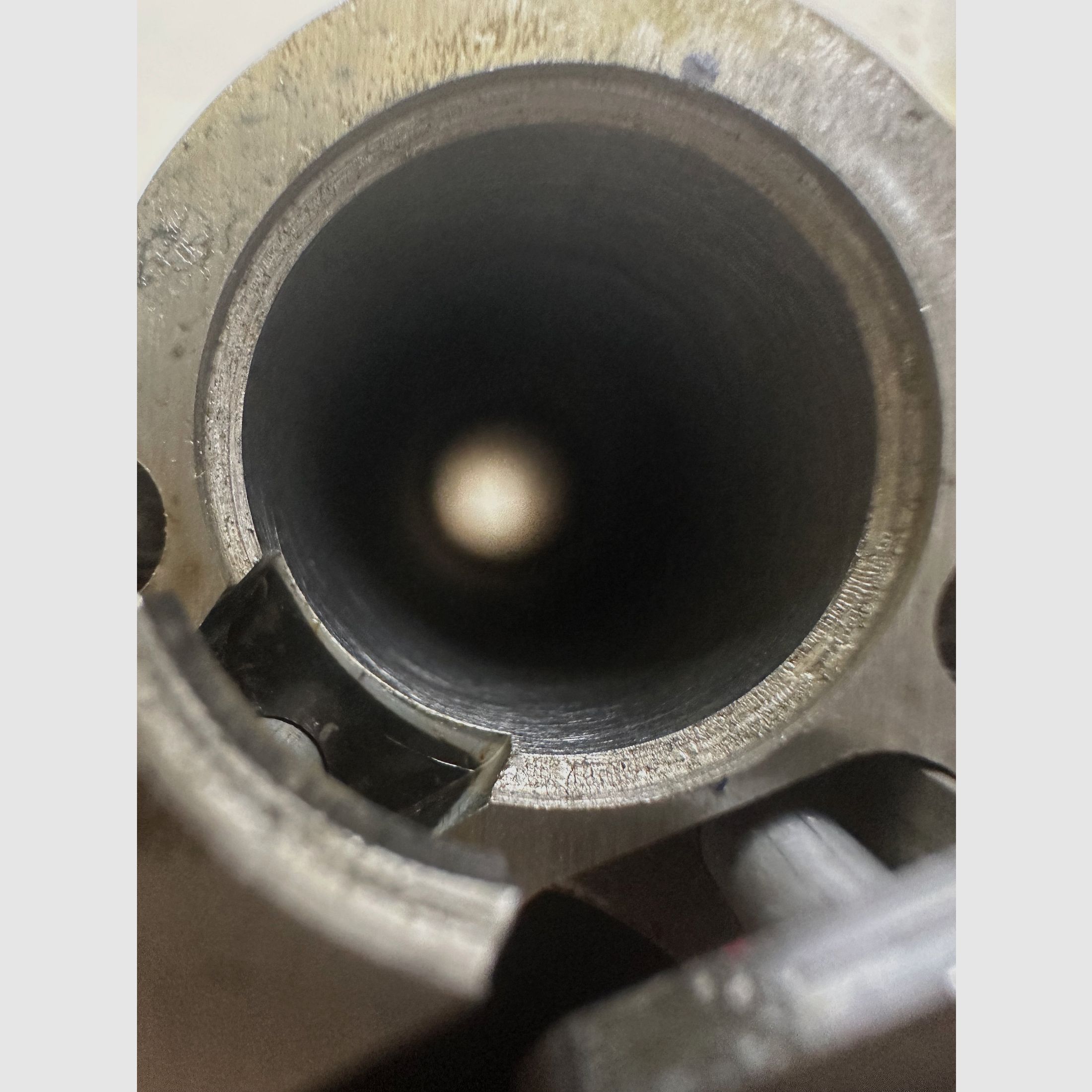 Beretta 694 Trap As  + 500 Schuss