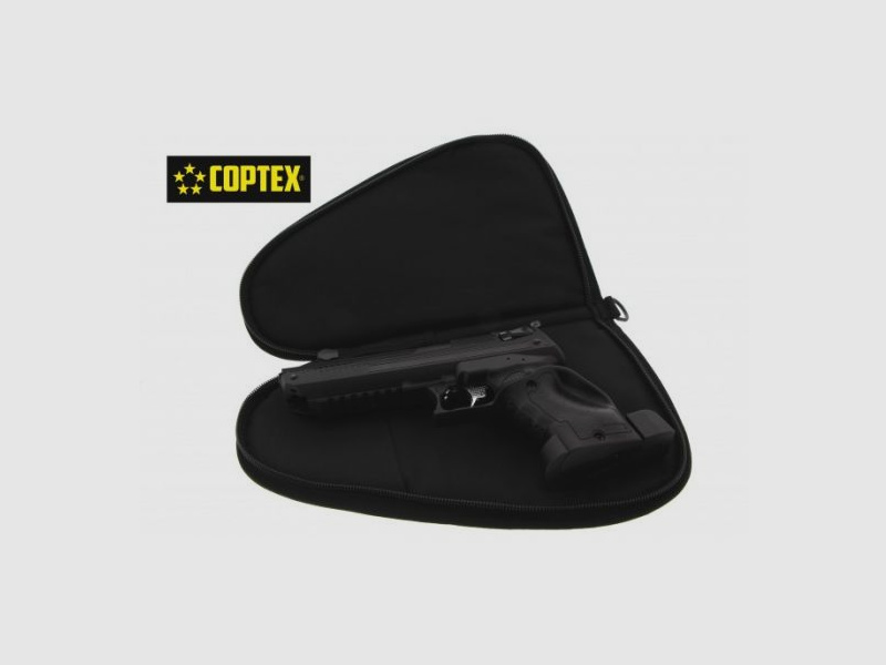 Pistol case for large handguns with accessory compartment
