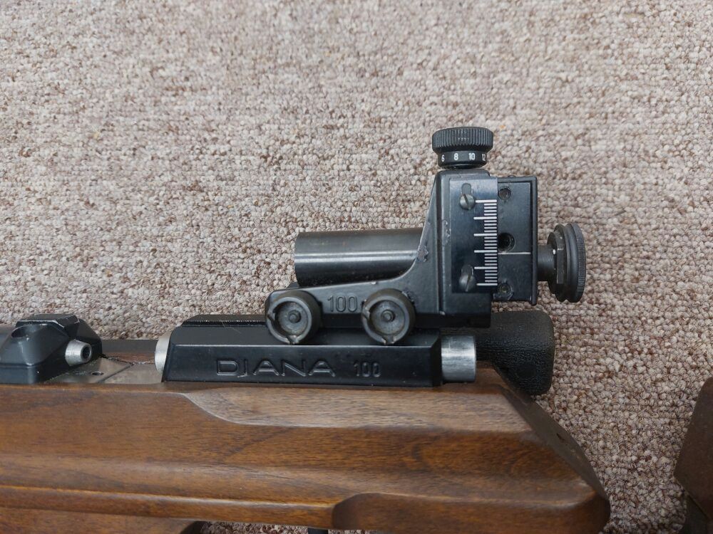 Diana 100