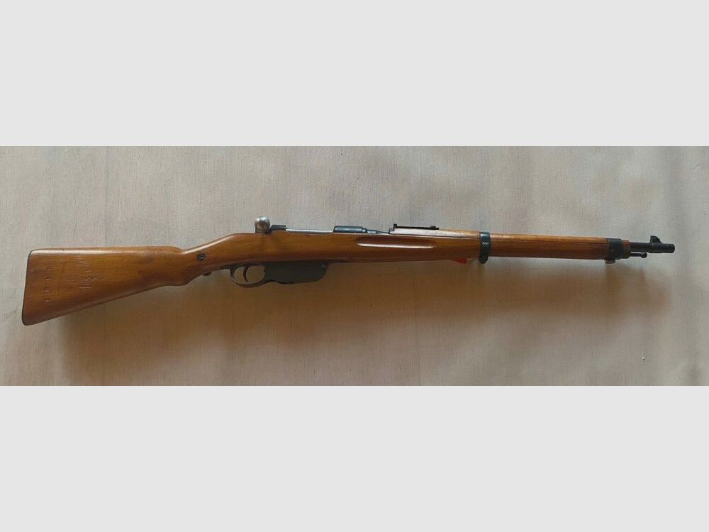 Steyr M95
