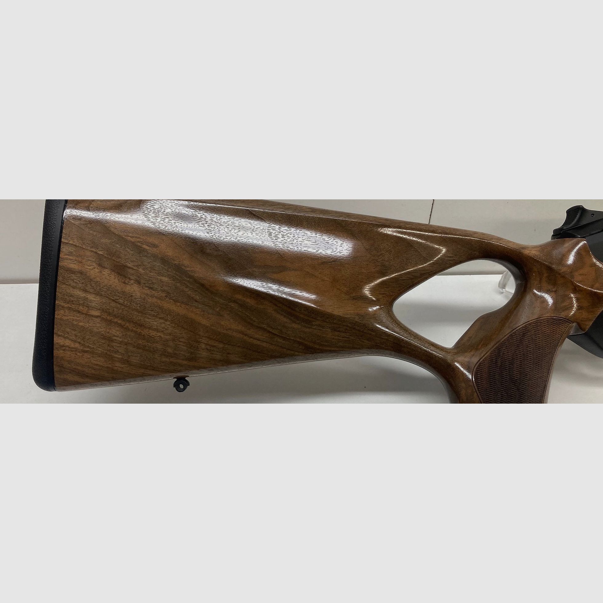 Blaser R8 Success
