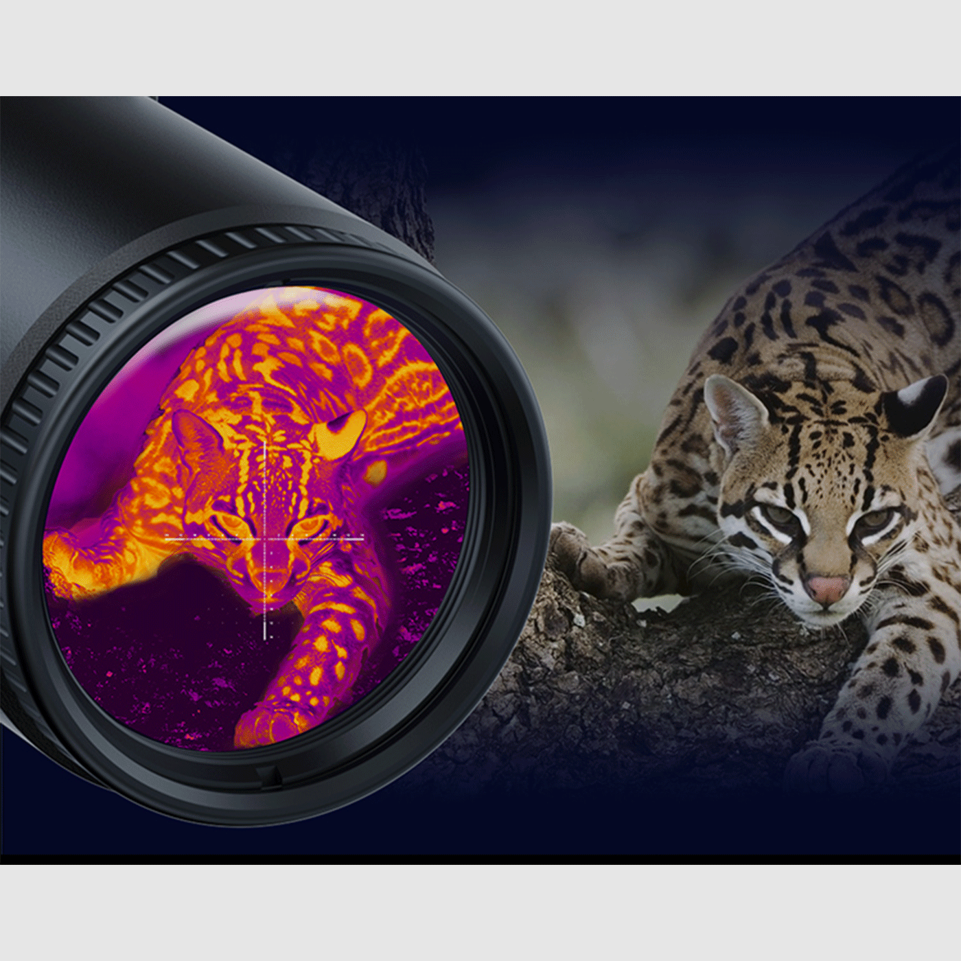PARD – THERMAL SCOPE TS31-35 Lens 35mm 384×288, image 5 of 7