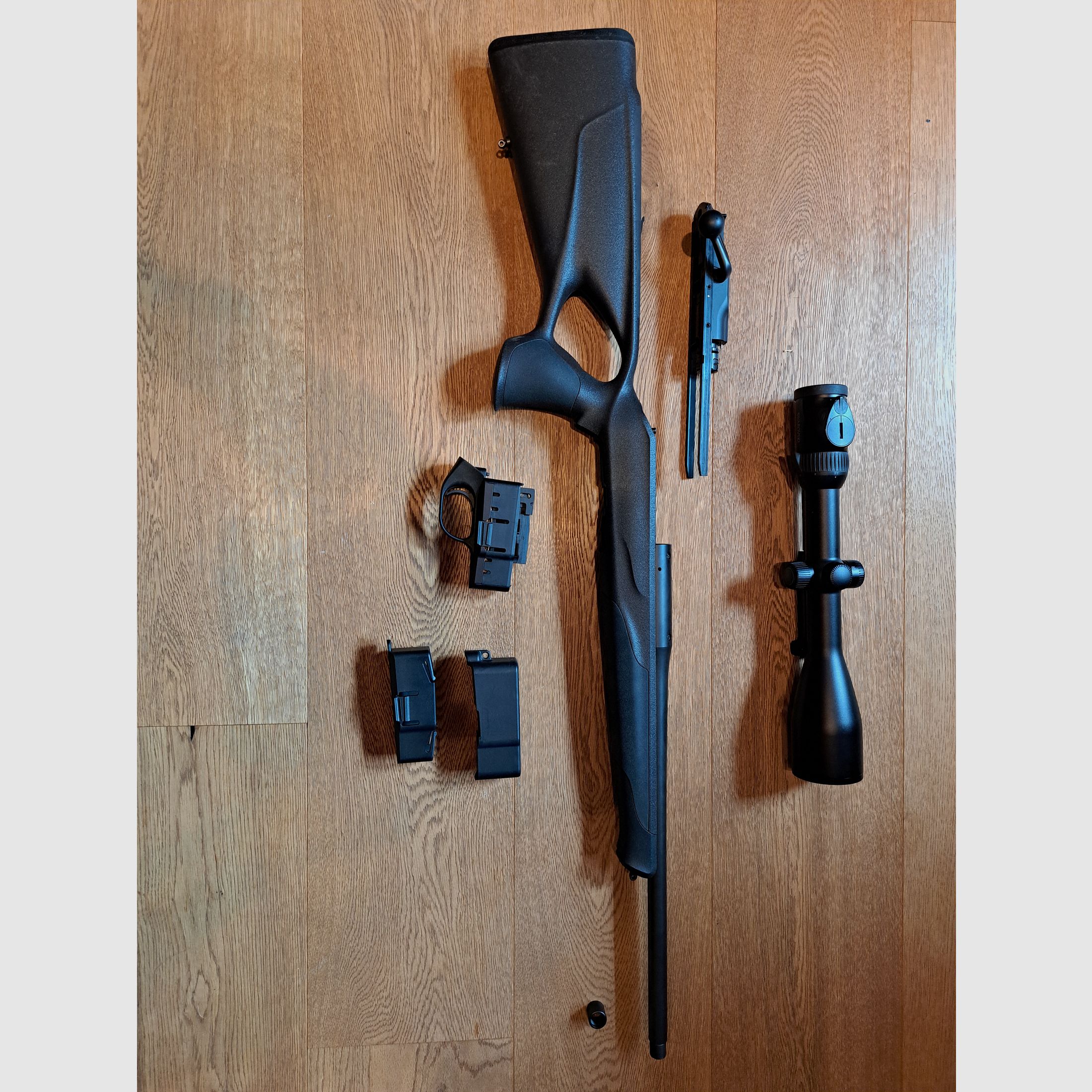 Blaser R8 professional success. 308 Win.