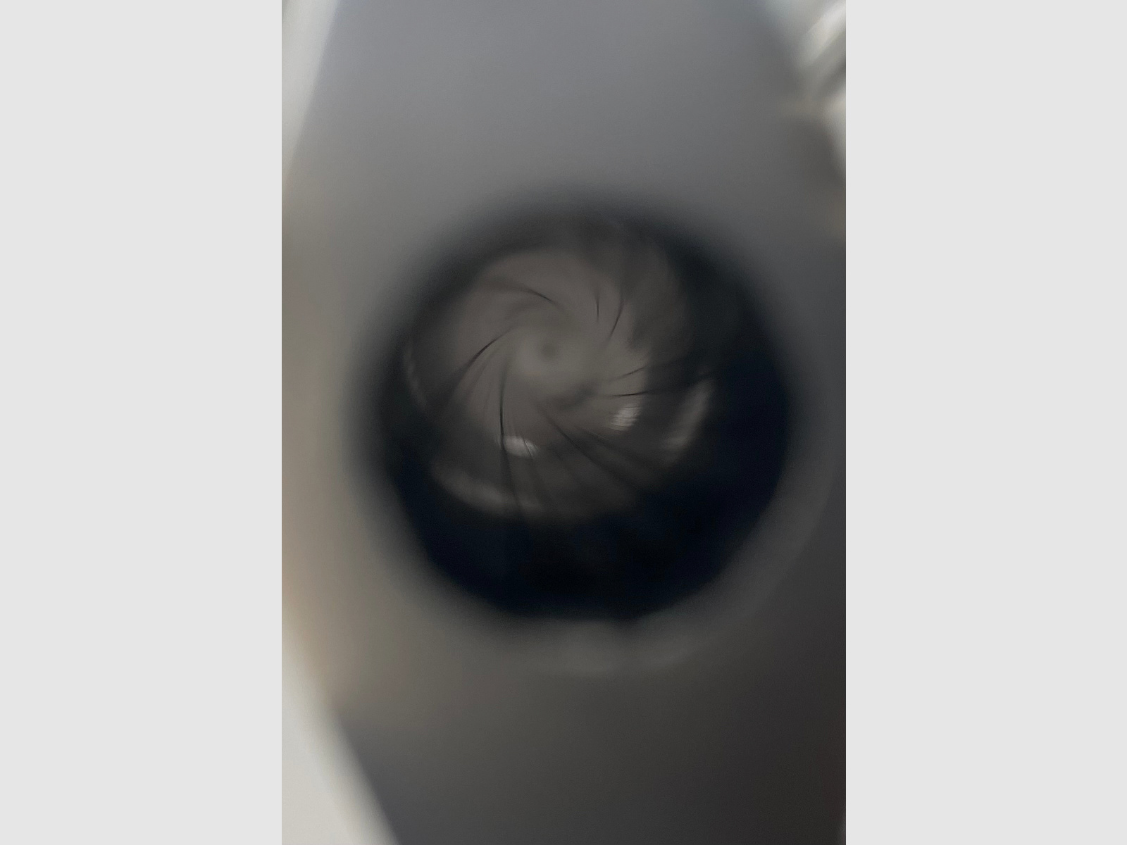 Taurus Raging Bull .454 Casull 6 1/2 Zolll
