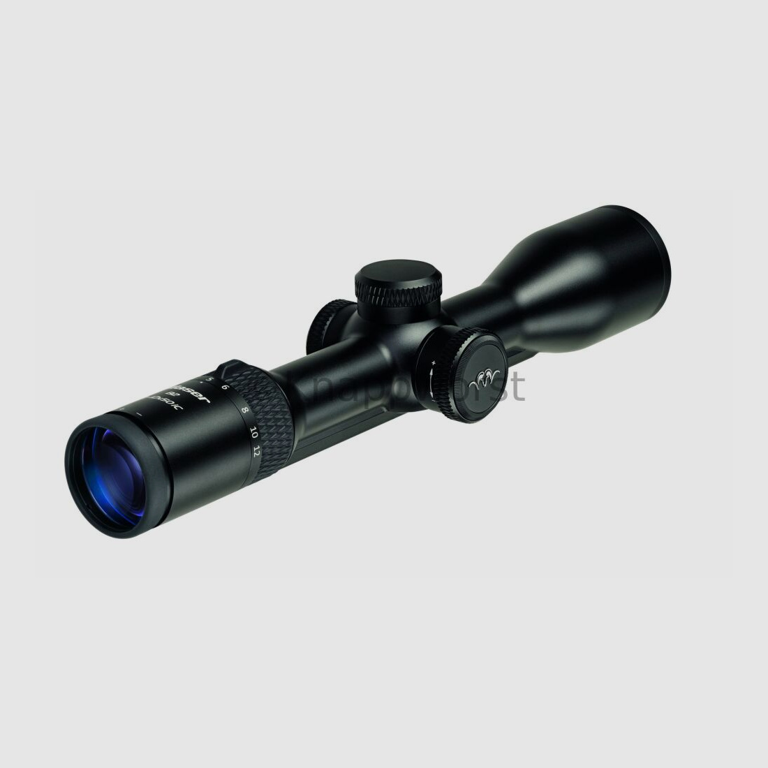Blaser weapons Blaser B2 2-12x50 iC S