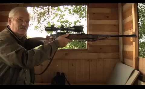 Reportage über einen Jäger